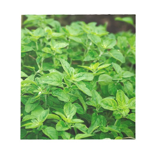 Leaves Notepad (Front)