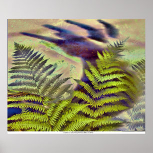 Leaves of a Fern by Rowan Blair Colver Poster