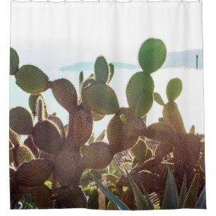 Leaves of cactus. Plant outdoor with flare light i