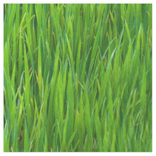 Leaves of Grass Fabric