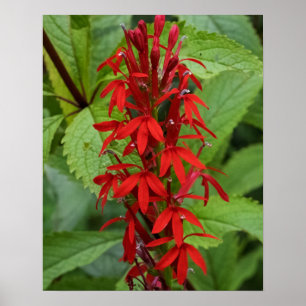 Leaves of Red Poster