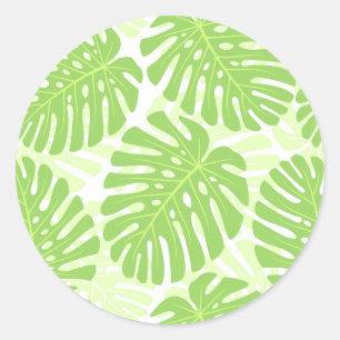 Leaves Of Tropical Plant - Monstera Pattern Classic Round Sticker