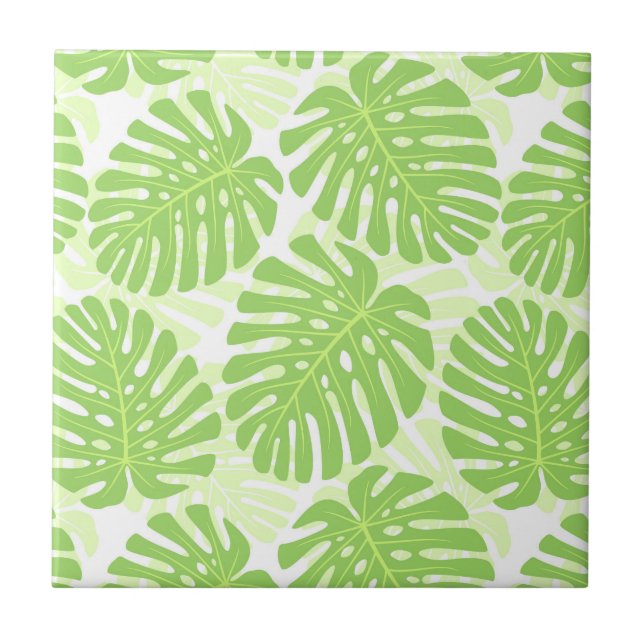 Leaves Of Tropical Plant - Monstera Pattern Tile (Front)
