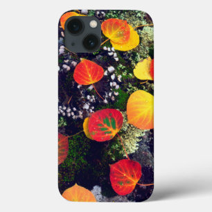 Leaves on a lichen covered rock, Rocky Mountains iPhone 13 Case