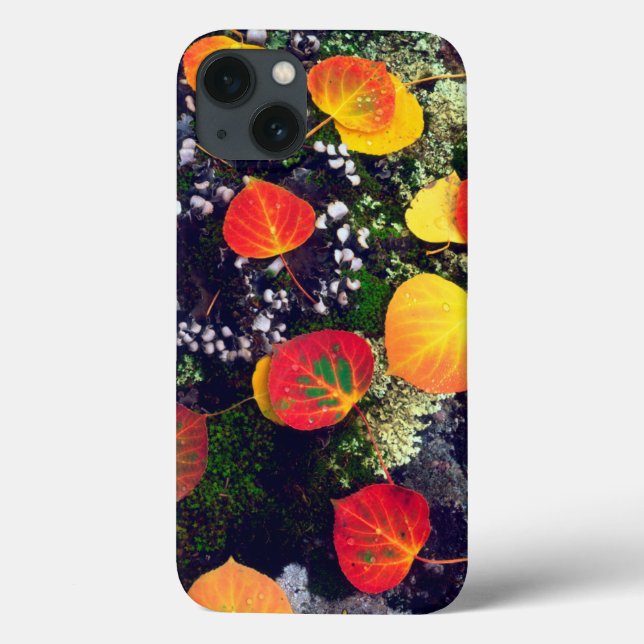 Leaves on a lichen covered rock, Rocky Mountains Case-Mate iPhone Case (Back)