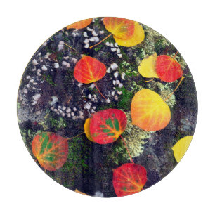 Leaves on a lichen covered rock, Rocky Mountains Cutting Board