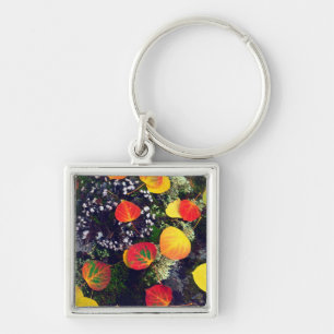 Leaves on a lichen covered rock, Rocky Mountains Keychain