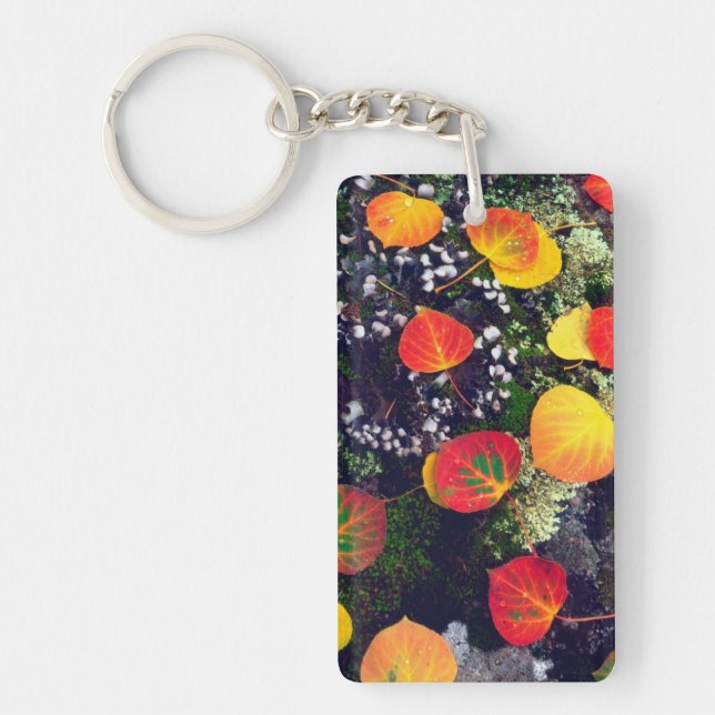 Leaves on a lichen covered rock, Rocky Mountains Keychain (Front)