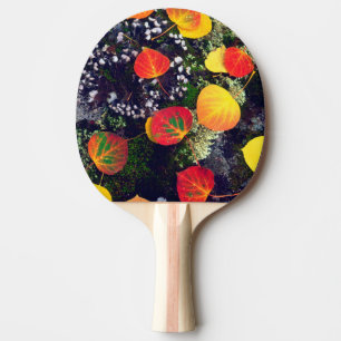 Leaves on a lichen covered rock, Rocky Mountains Ping Pong Paddle