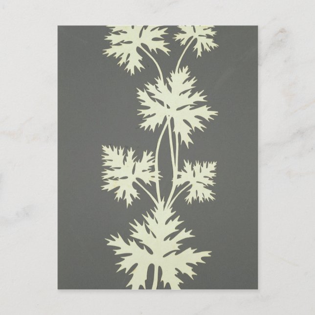 Leaves Postcard (Front)