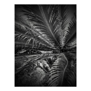 Leaves Poster