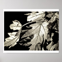Leaves [Print]