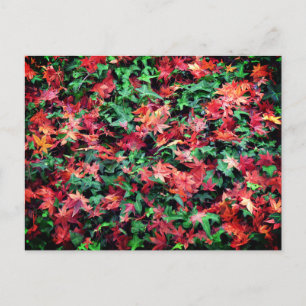 Leaves - Red and Green Postcard