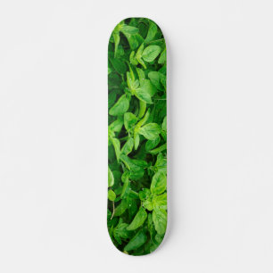 Leaves Skateboard 2
