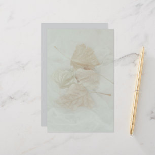 Leaves soft beige warm background abstract stationery