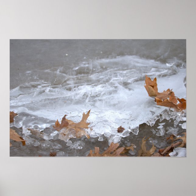 Leaves Stuck in Ice Poster (Front)