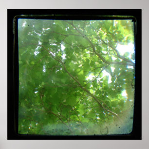 Leaves TTV Poster