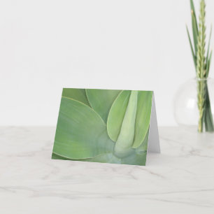 Leaves v2 card