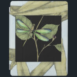 Leaves with Dragonfly Inset by Jennifer Goldberger iPad Cover<br><div class="desc">This drawing of leaves by Jennifer Goldberger features an inset of a dragonfly on a black background. The nighttime feel of the inset contrasts nicely with the daytime feel of the print of leaves. Get yours today!</div>