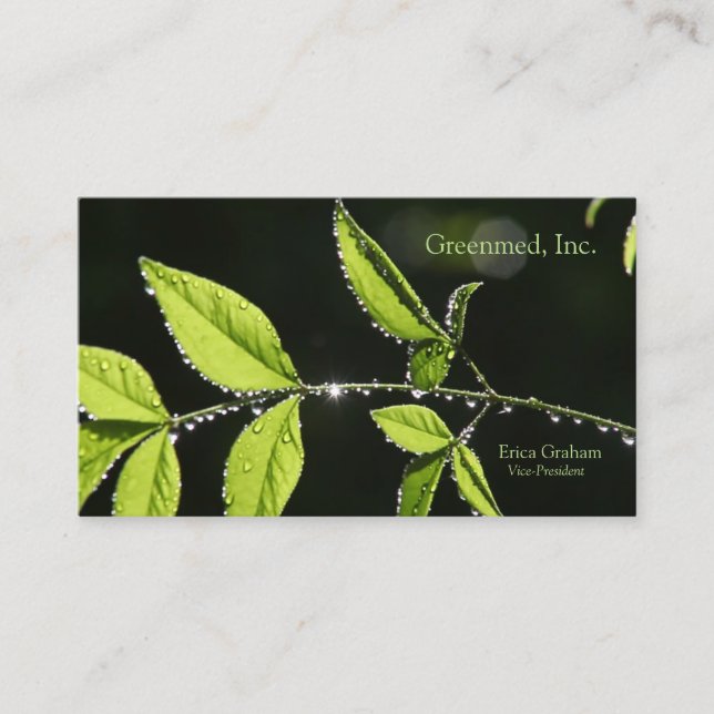 Leaves with water drops business card (Front)