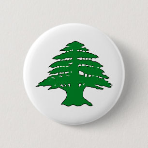 Lebanese Cedar 2 Inch Round Button