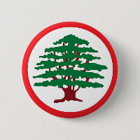 Lebanese Forces Party