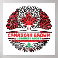 Lebanon Lebanese Canadian Canada Tree Roots Flag