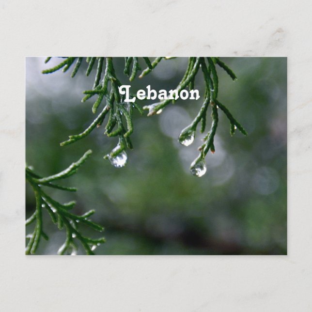 Lebanon Postcard (Front)