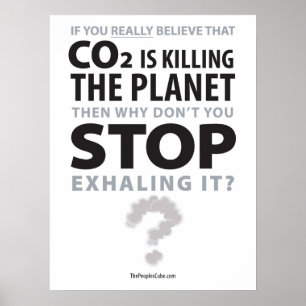 L'écologie - Arrêtez de s'expatrier : Affiche de p