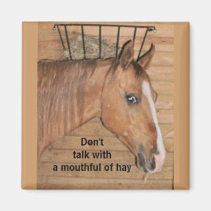 Leçons de maman - aimant