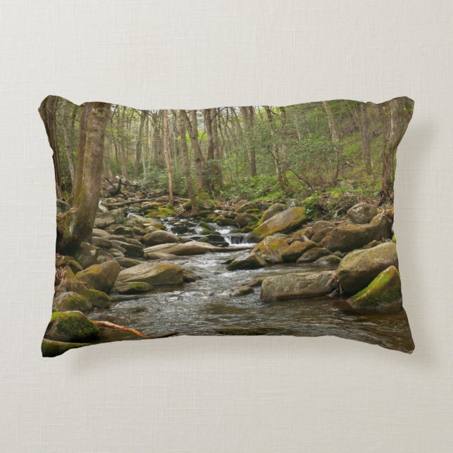 LeConte Creek at Great Smoky Mountains Accent Pillow (Front)