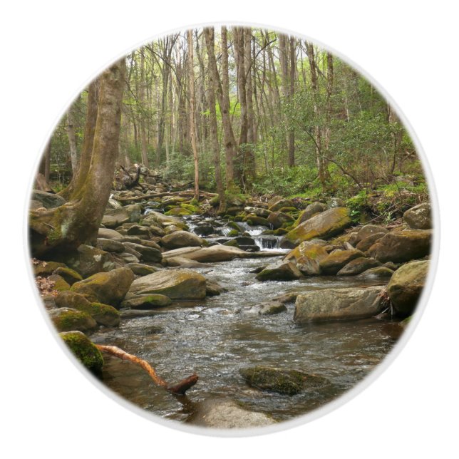 LeConte Creek at Great Smoky Mountains Ceramic Knob (Front)