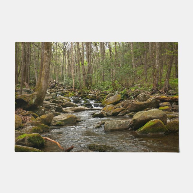 LeConte Creek at Great Smoky Mountains Doormat (Front)