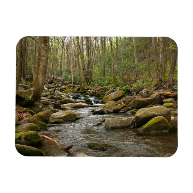 LeConte Creek at Great Smoky Mountains Magnet (Horizontal)