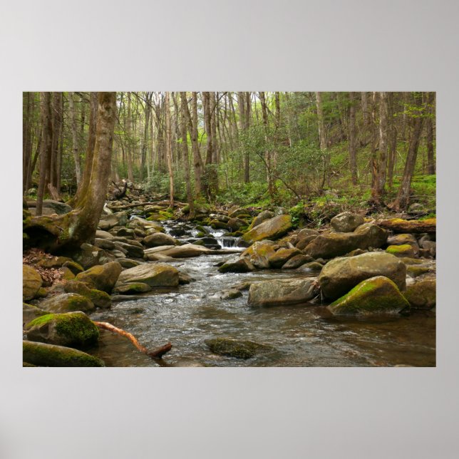 LeConte Creek at Great Smoky Mountains Poster (Front)