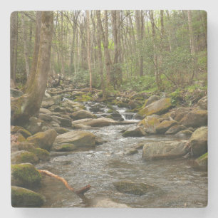 LeConte Creek at Great Smoky Mountains Stone Coaster