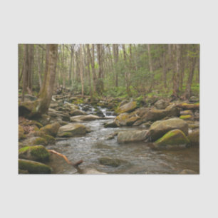LeConte Creek at Great Smoky Mountains Tissue Paper