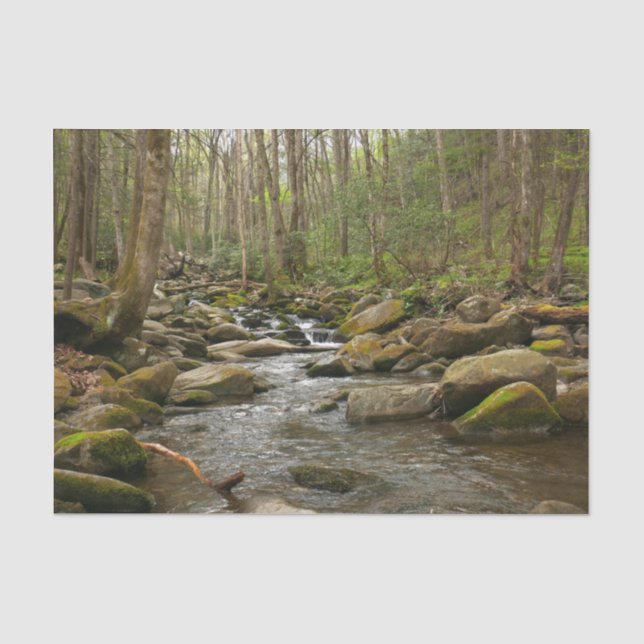 LeConte Creek at Great Smoky Mountains Tissue Paper (Front)