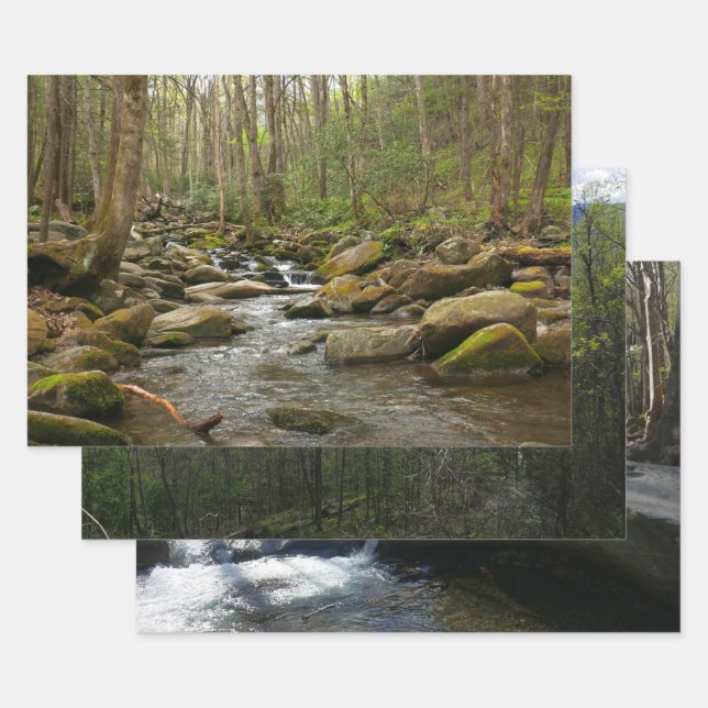 LeConte Creek at Great Smoky Mountains Wrapping Paper Sheet (Set)