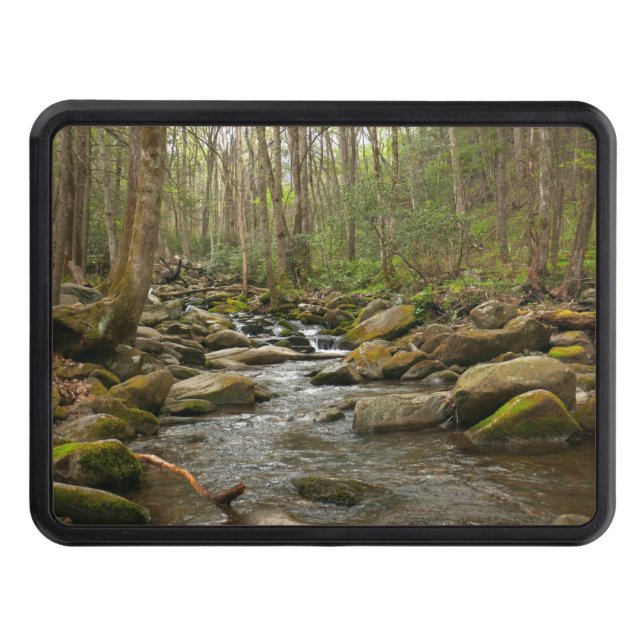 LeConte Creek Trailer Hitch Cover (Front)