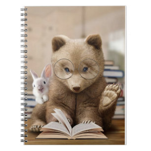 Lecteur Ours Cadeaux Et Lapin Lire Livres