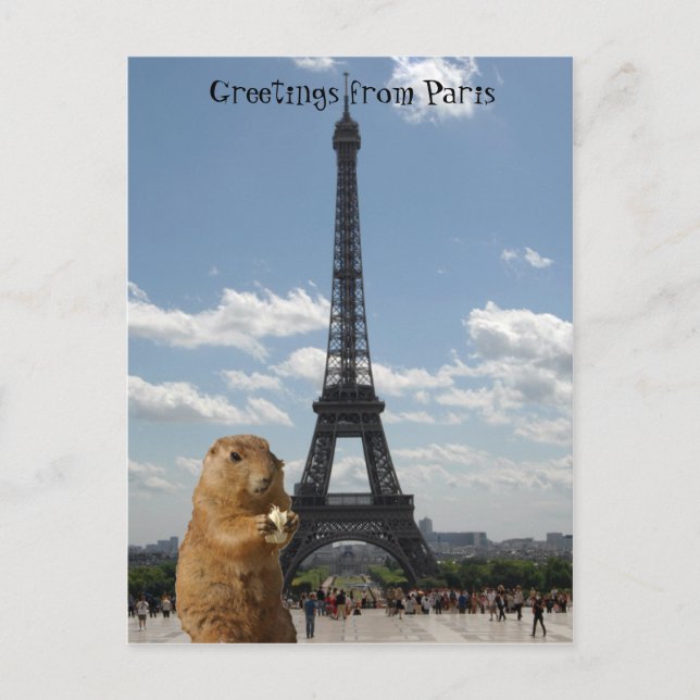 L'écureuil à Paris Carte postale (Devant)