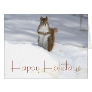 L'écureuil dans la neige