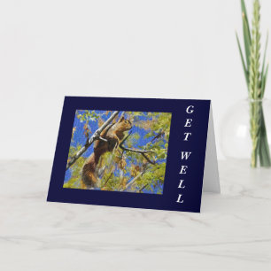 L'écureuil obtiennent la carte bonne