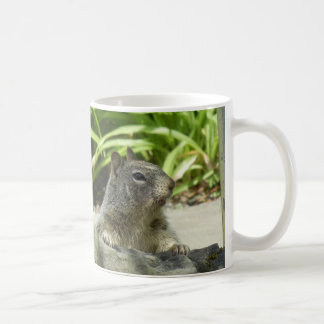 L'écureuil refroidit dans la Mug ombragée