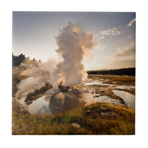 Ledge Geyser, Norris Geyser Basin Tile