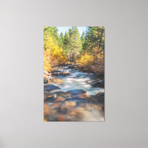 Lee Vining Creek Canvas Print