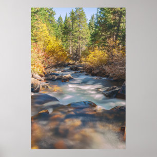 Lee Vining Creek in Autumn Poster