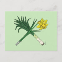 Leek and Daffodil Crossed