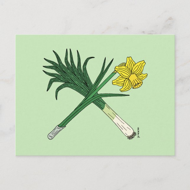 Leek and Daffodil Crossed Postcard (Front)